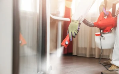 Cleaning-2