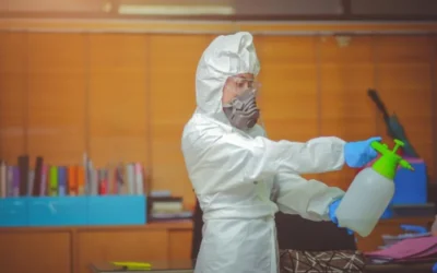 Cleaning-3